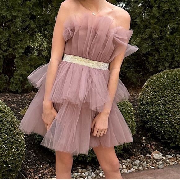 Mable Tulle Mini NWT Size XS Elegant Mauve Tulle Dress with Gold Belt - Picture 1 of 4